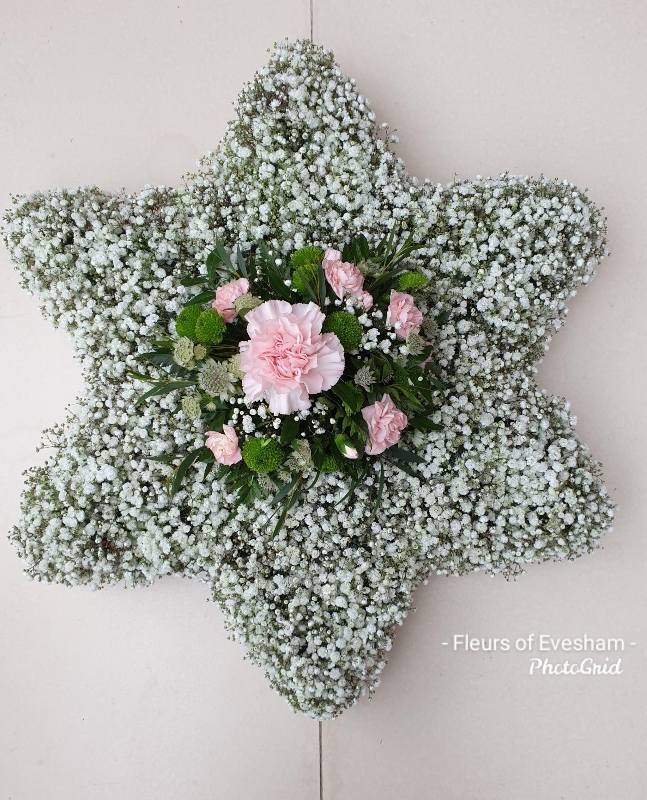 Gypsophila Star