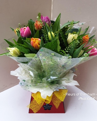 Tulips Mixed