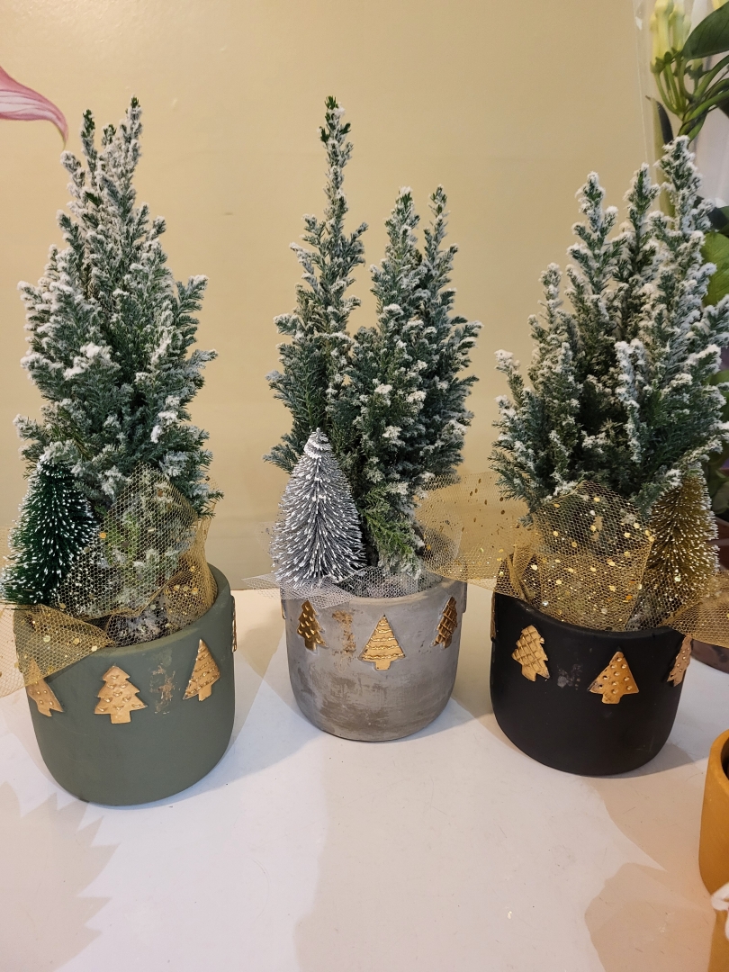Christmas Conifer Arrangement