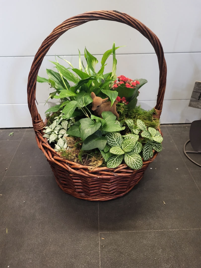 Christmas Plant Basket