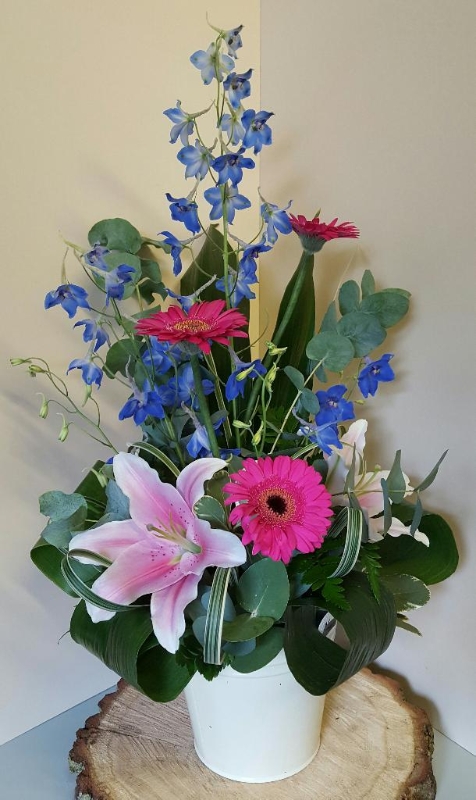 Delphinium Modern Arrangement