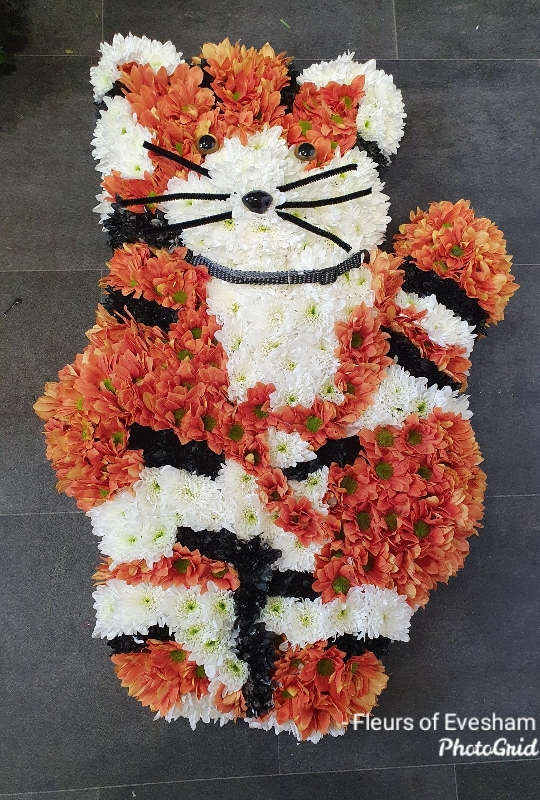 Cat Tribute