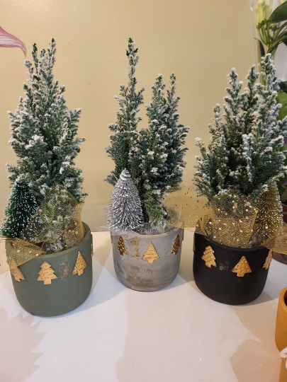 Christmas Conifer Arrangement