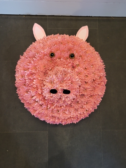 Pig Face